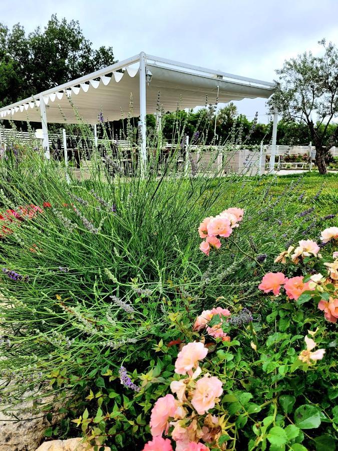 La Collina Dei Cavalieri Villa Belvedere Ostrense Luaran gambar