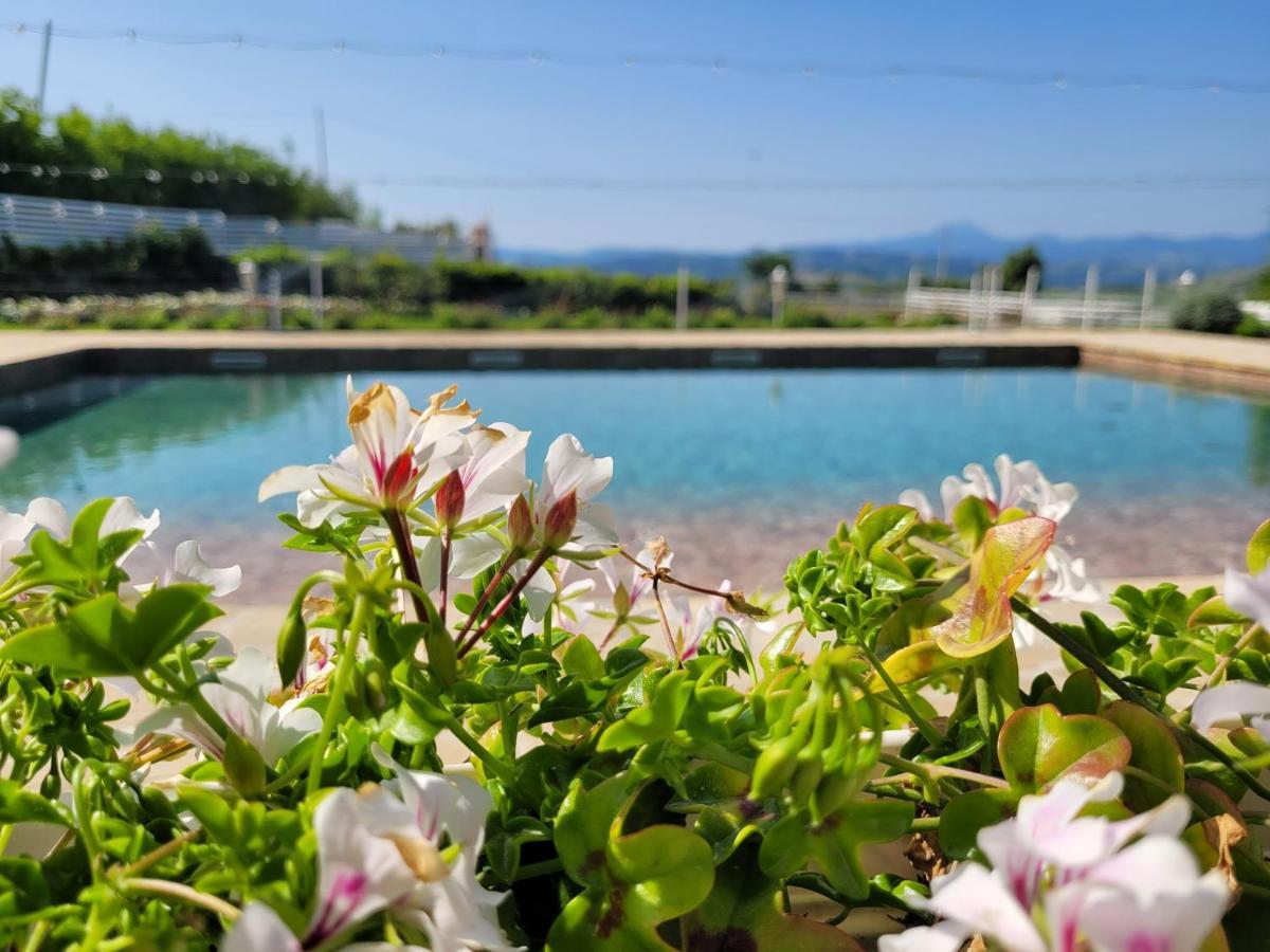La Collina Dei Cavalieri Villa Belvedere Ostrense Luaran gambar