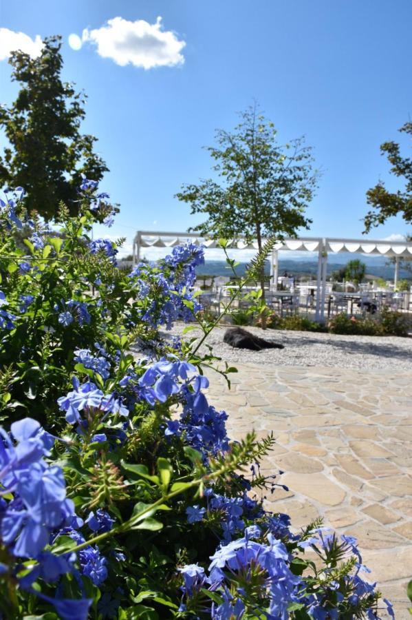 La Collina Dei Cavalieri Villa Belvedere Ostrense Luaran gambar
