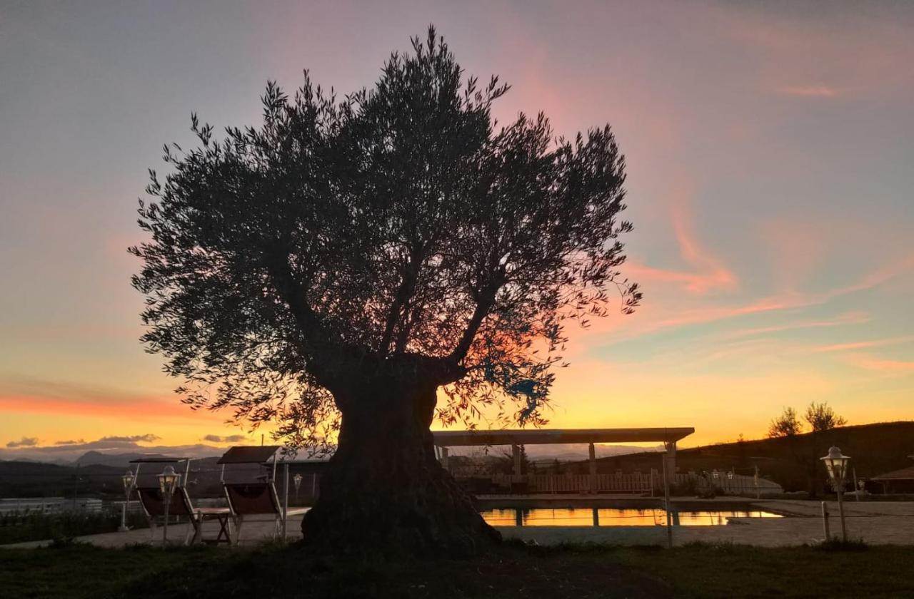 La Collina Dei Cavalieri Villa Belvedere Ostrense Luaran gambar